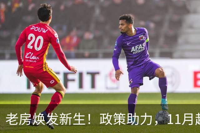 老房焕发新生！政策助力，11月起老房价值显著提升
